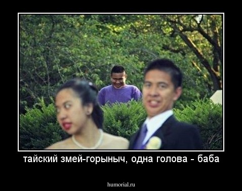 тайский змей-горыныч, одна голова - баба