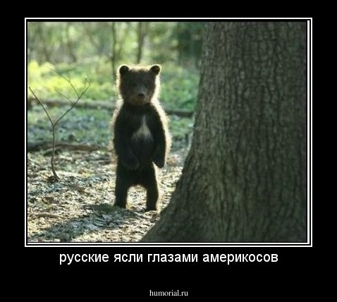 русские ясли глазами америкосов