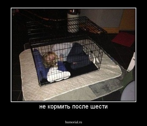 не кормить после шести