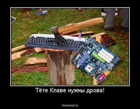 Тёте Клаве нужны дрова!