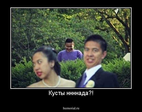 Кусты ннннада?!
