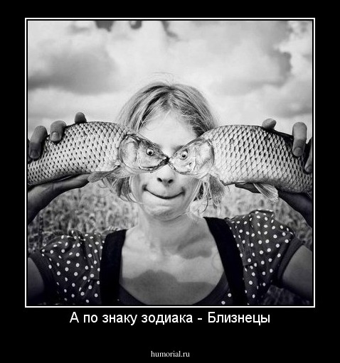 А по знаку зодиака - Близнецы
