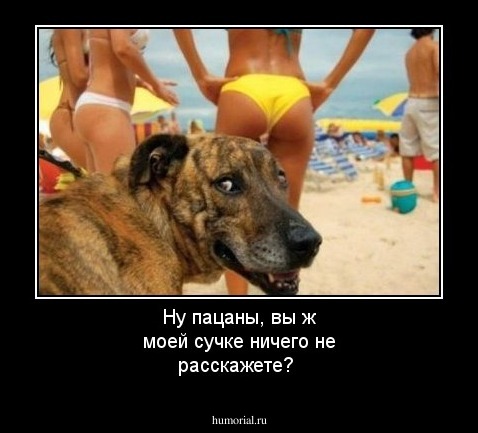 Ну пацаны, вы ж моей сучке ничего не расскажете?