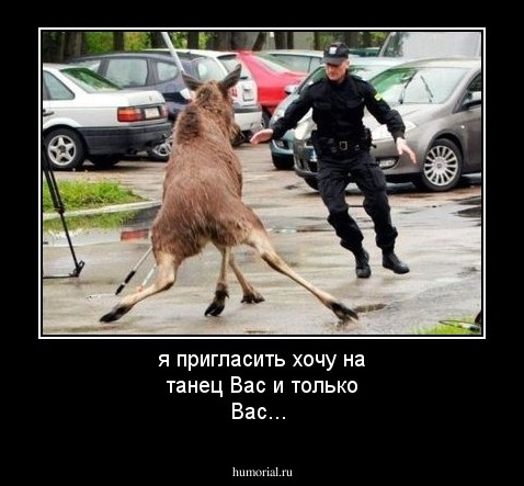 я пригласить хочу на танец Вас и только Вас...