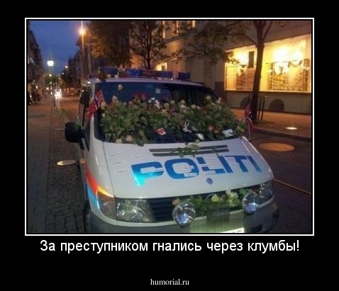 За преступником гнались через клумбы!