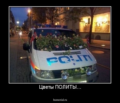Цветы ПОЛИТЫ...