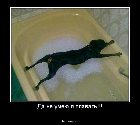 Да не умею я плавать!!!