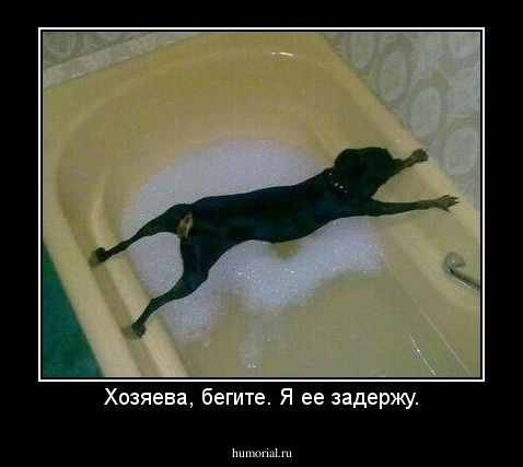 Хозяева, бегите. Я ее задержу.