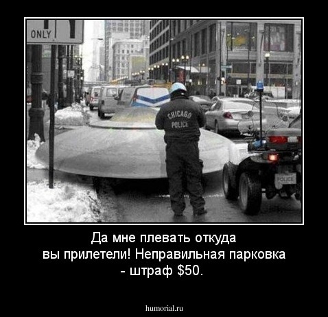 Да мне плевать откуда вы прилетели! Неправильная парковка - штраф $50.
