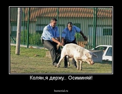Колян,я держу.. Осиминяй!