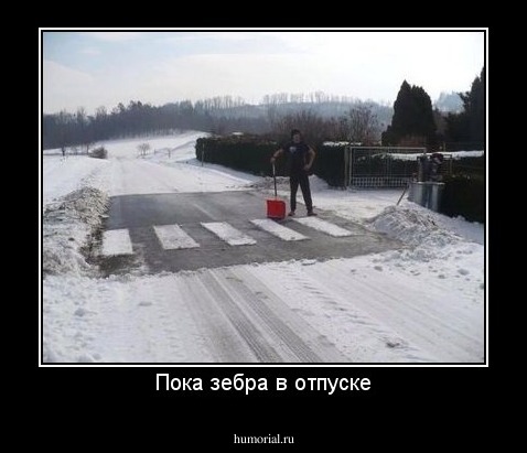 Пока зебра в отпуске