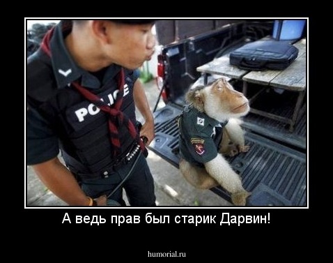 А ведь прав был старик Дарвин!