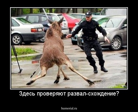 Здесь проверяют развал-схождение?