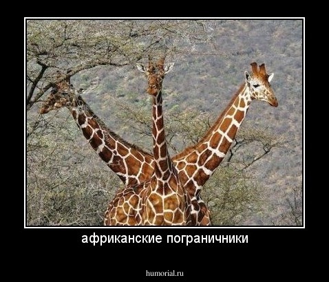 африканские пограничники