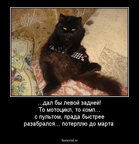 ...дал бы левой задней! То мотоцикл, то комп... с пультом, прада быстрее разабрался... потерплю до марта
