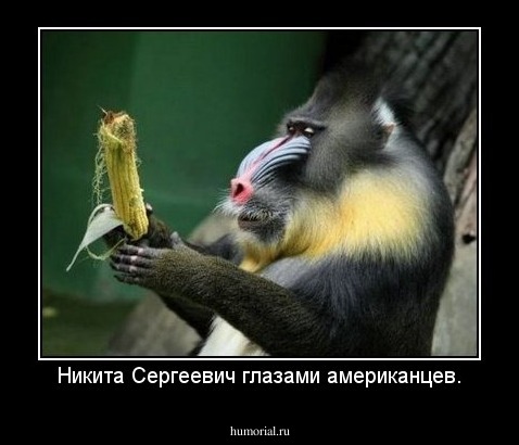 Никита Сергеевич глазами американцев.