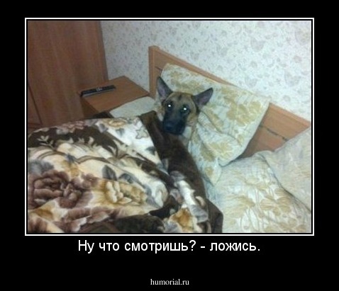 Ну что смотришь? - ложись.