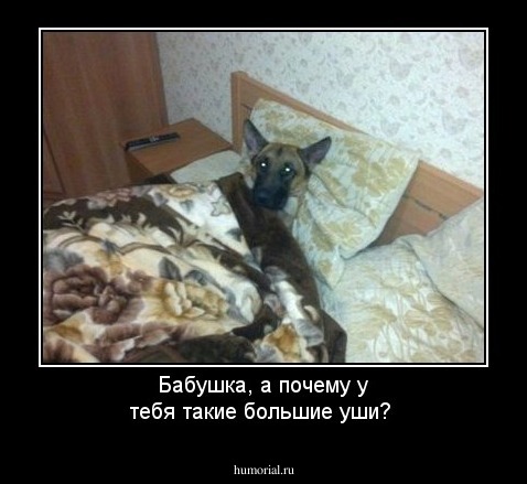 Бабушка, а почему у тебя такие большие уши?