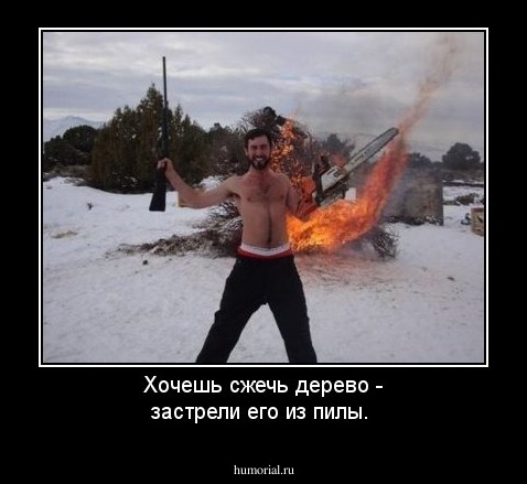 Хочешь сжечь дерево - застрели его из пилы.