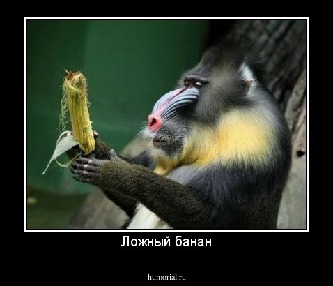 Ложный банан