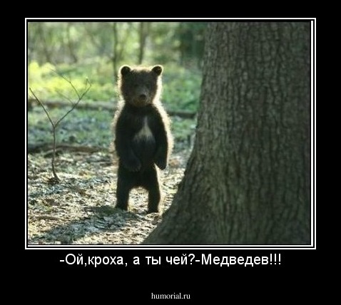 -Ой,кроха, а ты чей?-Медведев!!!