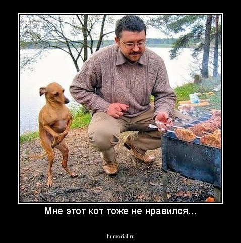 Мне этот кот тоже не нравился...
