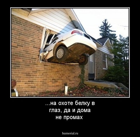 ...на охоте белку в глаз, да и дома не промах
