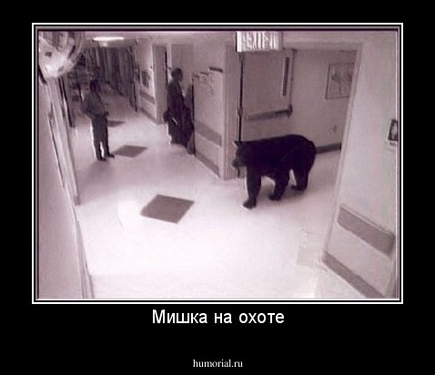 Мишка на охоте