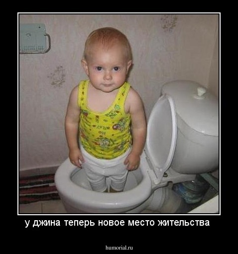 у джина теперь новое место жительства 