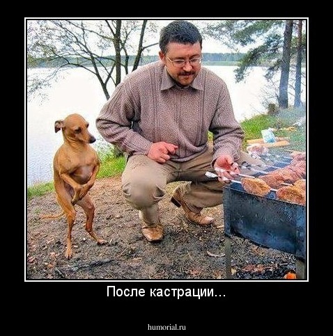 После кастрации...