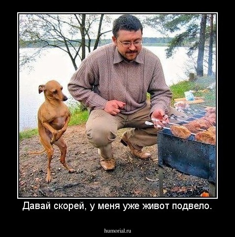 Давай скорей, у меня уже живот подвело.