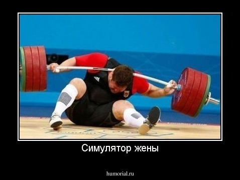 Симулятор жены