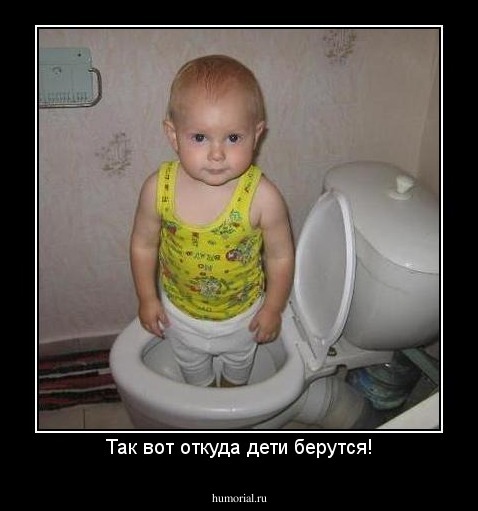 Так вот откуда дети берутся!