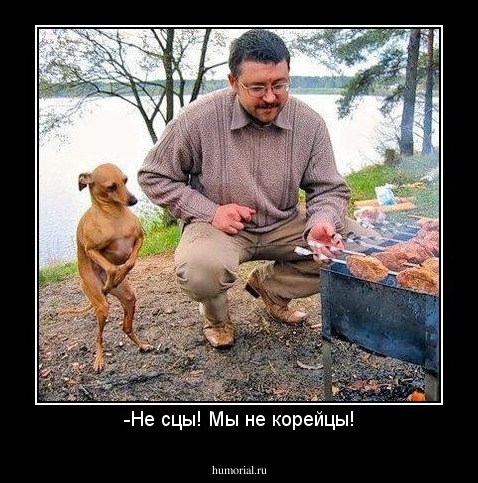 -Не сцы! Мы не корейцы!