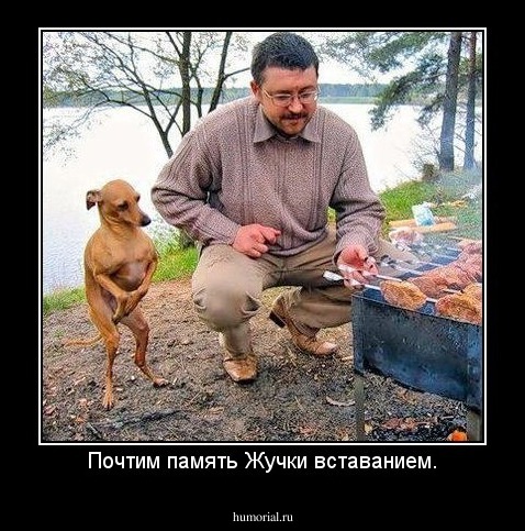 Почтим память Жучки вставанием.