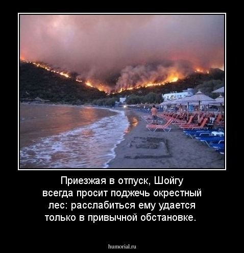 Приезжая в отпуск, Шойгу всегда просит поджечь окрестный лес: расслабиться ему удается только в привычной обстановке.