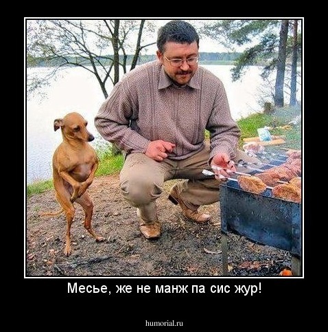 Мeсье, же не манж па сис жур!