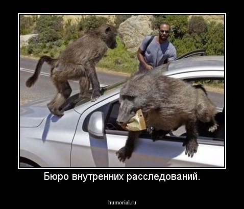 Бюро внутренних расследований.