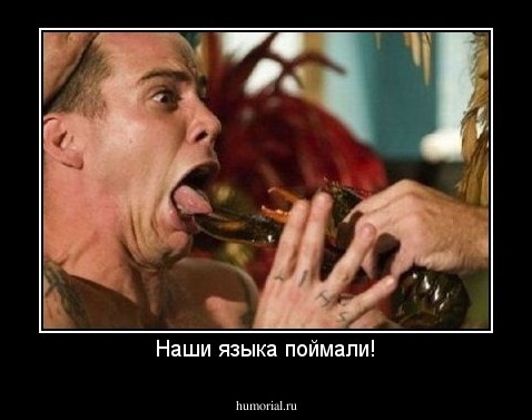 Наши языка поймали!