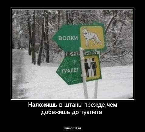 Наложишь в штаны прежде,чем добежишь до туалета