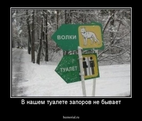 В нашем туалете запоров не бывает
