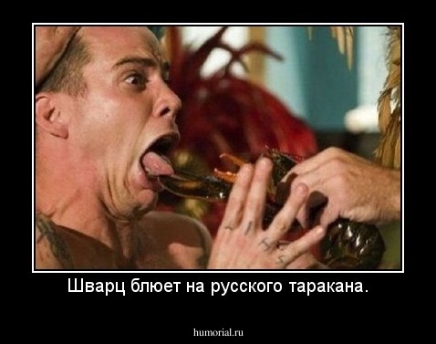 Шварц блюет на русского таракана.