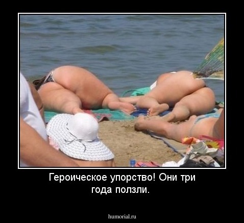 Героическое упорство! Они три года ползли.