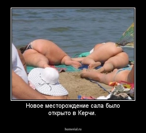 Новое месторождение сала было открыто в Керчи.