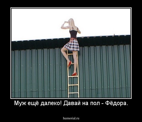 Муж ещё далеко! Давай на пол - Фёдора.
