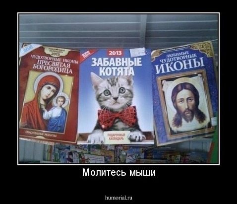 Молитесь мыши
