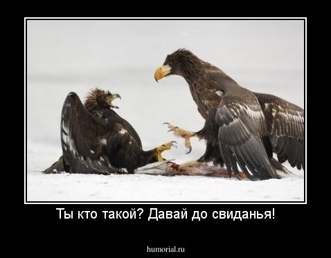 Ты кто такой? Давай до свиданья!