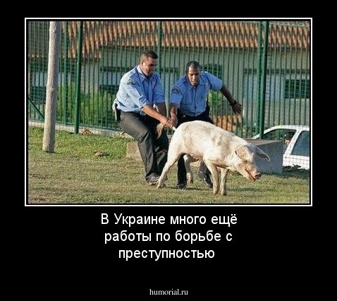 В Украине много ещё работы по борьбе с преступностью