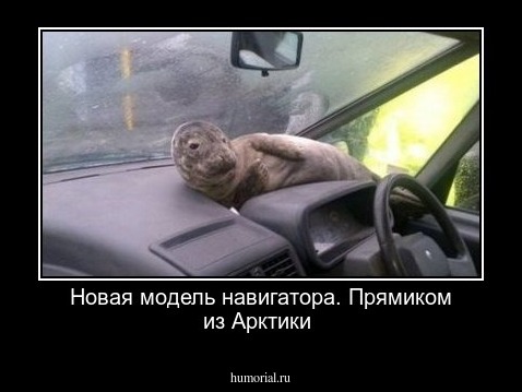 Новая модель навигатора. Прямиком из Арктики