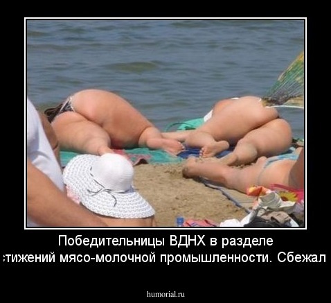Победительницы ВДНХ в разделе достижений мясо-молочной промышленности. Сбежали...